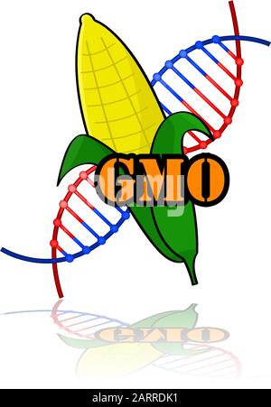 Illustration conceptuelle montrant un maïs génétiquement modifié combiné avec les lettres OGM et un brin d'ADN Illustration de Vecteur