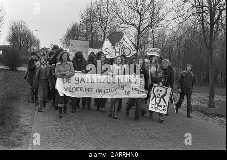 Les écoles de Christian Mavo à Monnickendam manifestent en protestation contre les bâtiments scolaires d'état pauvres Date: 25 janvier 1973 lieu: Monnickendam mots clés: SCHOLYS, manifestations, protestations Banque D'Images