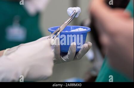 20 janvier 2020, Bade-Wuerttemberg, ---: Un assistant fournit des consommables médicaux à un médecin pendant une opération. Photo: Marijan Murat/Dpa Banque D'Images