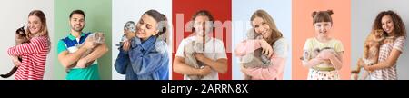 Collage avec différentes personnes et leurs chats mignons sur fond couleur Banque D'Images