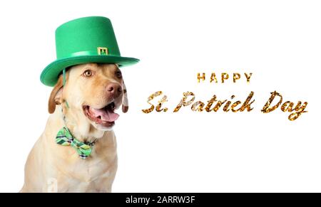 Joli chien dans un chapeau vert et texte HAPPY ST. JOURNÉE de Patrick sur fond blanc Banque D'Images