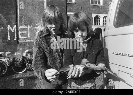 Marché des oiseaux à Noordermarkt à Amsterdam; enfants avec pigeon sur le marché des oiseaux Date: 28 octobre 1974 lieu: Amsterdam, Noord-Holland mots clés: Enfants, Birdmarket Banque D'Images