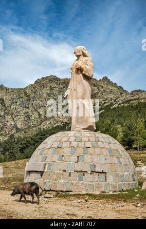 Cochon noir à la Statue du Christ Roi, en granit rose, créé par Noel Bonardi, Col de Vergio, col de montagne sur la route D-84, Corse-du-Sud, Corse, France Banque D'Images