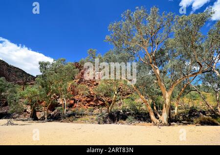 L'Australie, NT, Ormiston Gorge, dans le parc national West McDonnell Range Banque D'Images