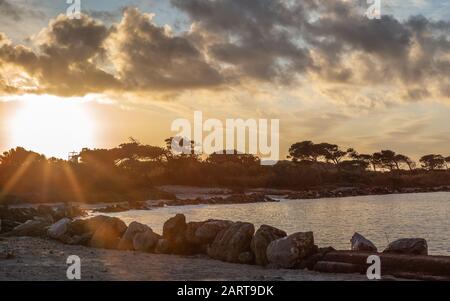 Le lever du soleil sur les dunes de la côte toscane en hiver couvert dans les maquis et les pins Banque D'Images