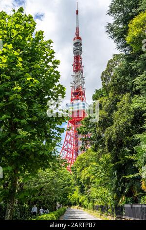 Vue panoramique sur la Tour de Tokyo entre les arbres en été. Tokyo, Japon, Août 2019 Banque D'Images