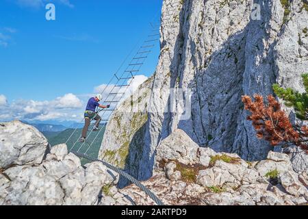 Grimpeur mâle regardant vers le bas depuis l'échelle diagonale sur la route via ferrata appelée Intersport, dans les montagnes de Donnerkogel, en Autriche, lors d'une excursion d'aventure Banque D'Images