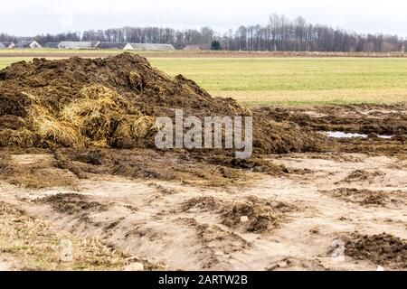 Début du printemps. Le fumier mélangé à de la paille est préparé pour fertiliser le champ. Le village en arrière-plan. Ferme laitière. Podlasie, Pologne. Banque D'Images