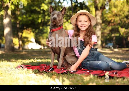 Petite fille avec un joli chien dans le parc Banque D'Images