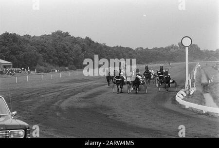 Cours pour le Grand Prix des Pays-Bas à Duindigt 1970 début de la série dure; les pieurs sur leurs sulies prennent des positions stratégiques dans Annotation: Voir aussi les codes commande: 923-6324, 923-6325, 923-6326 Date: 28 juin 1970 lieu: Den Haag, Duindigt, Zuid-Holland mots clés: Trot- et courses hippiques, chevaux équestres, chevaux équestres Banque D'Images