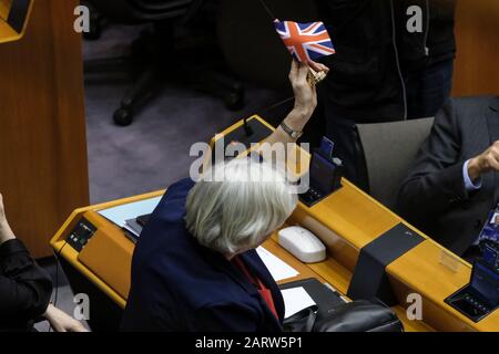 Bruxelles, Belgique. 29 janvier 2020. L'eurodéputée britannique Ann Widdecombel lors d'une session plénière au Parlement européen . Crédit: Alexandros MICHAILIDIS/Alay Live News Banque D'Images