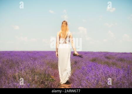 Femme sur le champ de lavande. Femme avec robe blanche et vue sur le dos du chapeau. Va sur les rangs de lavande. Fille en robe blanche et chapeau blanc est debout dans la Banque D'Images