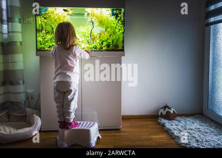 enfant de 2 ans à l'intérieur en regardant des poissons nager dans un grand réservoir de poissons, aquarium. Banque D'Images