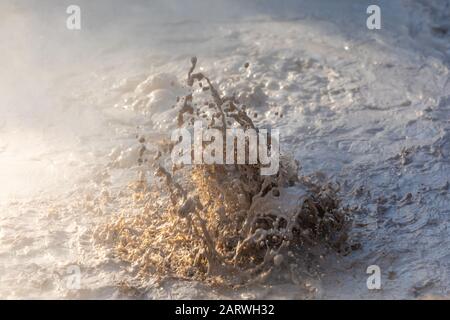 Source d'eau chaude bouillante, parc national de Fumarale Yellowstone Banque D'Images