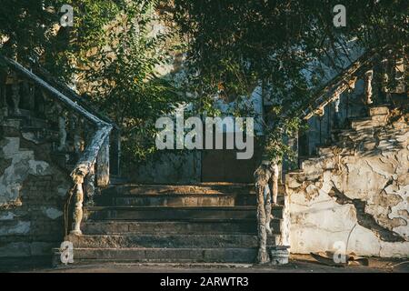 l'ancien escalier abandonné à moitié ruiné et fissuré s'est agrandi avec de la mousse, de l'herbe et des arbres Banque D'Images