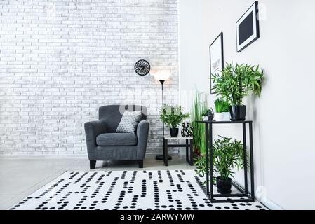 Fauteuil avec plantes vertes à l'intérieur de la chambre Banque D'Images