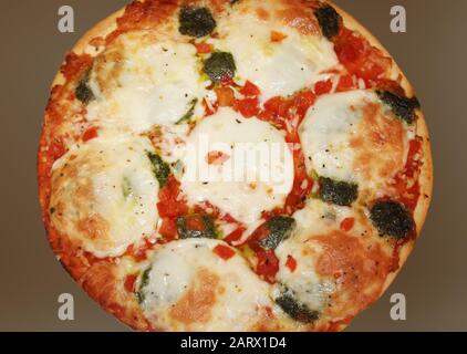 Pizza végétarienne maison avec fromage mozzarella fondu, tomates et épices Banque D'Images