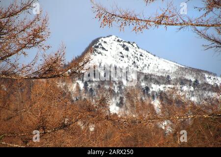 Photo d'une montagne enneigée sur les mélèzes en hiver. Île De Sakhalin, Russie Banque D'Images