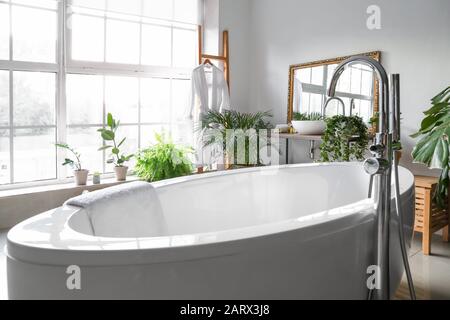 Intérieur élégant de la salle de bains avec des plantes vertes Banque D'Images