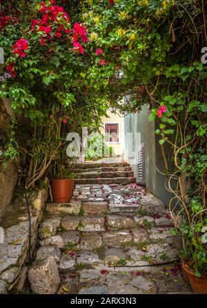 Ancienne rue étroite avec des fleurs dans le quartier de Plaka, Athènes, Grèce. Plaka est l'une des principales attractions touristiques d'Athènes. Belle allée pittoresque comme Banque D'Images