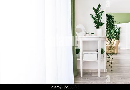 Intérieur élégant de la chambre avec des plantes vertes Banque D'Images