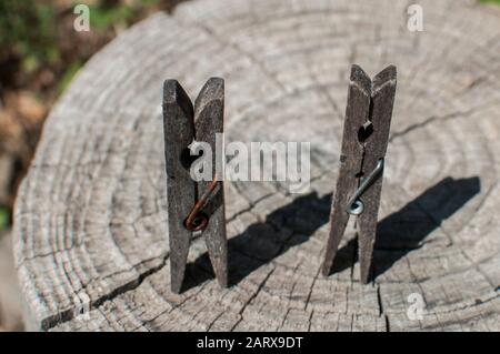 Vieux piquets de vêtements en bois vieillés sur vieux tronc d'arbre taillé surface closeup Banque D'Images