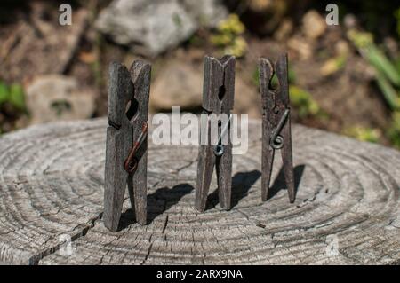 Vieux piquets de vêtements en bois vieillés sur vieux tronc d'arbre taillé surface closeup Banque D'Images