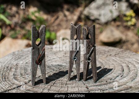 Vieux piquets de vêtements en bois vieillés sur vieux tronc d'arbre taillé surface closeup Banque D'Images