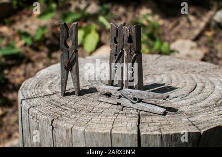 Vieux piquets de vêtements en bois vieillés sur vieux tronc d'arbre taillé surface closeup Banque D'Images