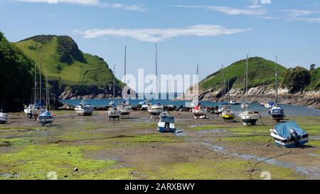 Tide Faible À Water Mouth Bay Près D'Ilfracombe, North Devon Coast, Royaume-Uni Banque D'Images