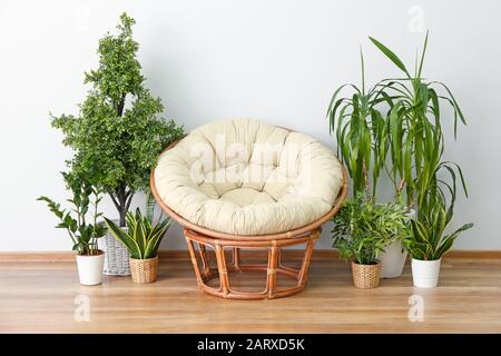 Fauteuil confortable avec plantes vertes près du mur blanc Banque D'Images