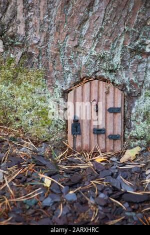 Une petite porte avant à la base d'un arbre fait une maison de fées pour les fées de jardin Banque D'Images