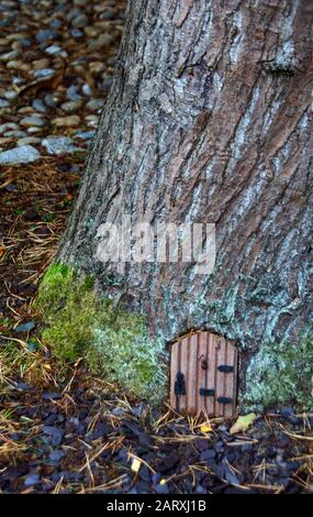 Une petite porte avant à la base d'un arbre fait une maison de fées pour les fées de jardin Banque D'Images