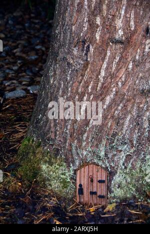 Une petite porte avant à la base d'un arbre fait une maison de fées pour les fées de jardin Banque D'Images