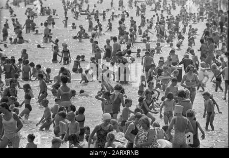 Chaleur tropicale. Un anthill de gens dans les Sloterplas Date: 1 juillet 1968 mots clés: Baigneurs Banque D'Images