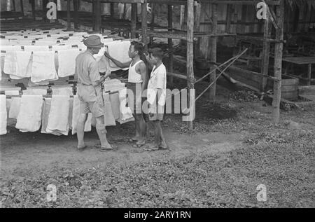 Photo Reportage Palembangs Deux jeunes hommes indonésiens montrant un homme en uniforme avec un chapeau de blanchisserie? Date : Janvier 1947 Lieu : Indonésie, Antilles Néerlandaises De L'Est, Palembangs, Sumatra Banque D'Images