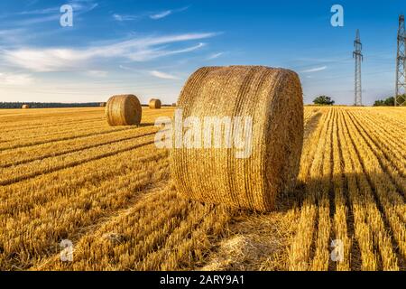Balles de foin sur le champ agricole doré. Paysage ensoleillé avec balles de foin rondes en été. Paysage rural des piles de paille au coucher du soleil. Vue panoramique sur l'yel Banque D'Images