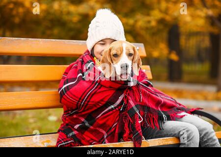 Petite fille asiatique avec joli chien beagle assis sur un banc dans le parc d'automne Banque D'Images