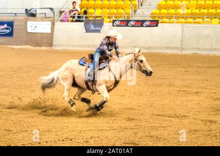 La cowgirl approchant le premier baril dans les finales nationales de l'Association australienne de Barrel Horse à Tamworth Australie. Banque D'Images