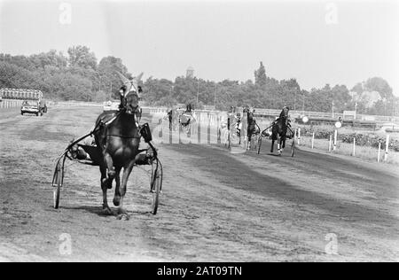 Derby pour trotters 1969 sur Duindigt Dravers en action Date: 3 août 1969 lieu: Wassenaar, South-Holland mots clés: Trotting et course, chevaux Banque D'Images