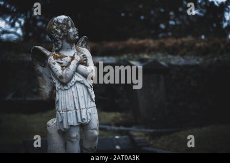 KILKENNY, IRLANDE, LE 23 DÉCEMBRE 2018 : Sculpture d'un vieil Ange chérubin creepy au milieu d'un cimetière, plein de lichen et moule, tenant sa poitrine Banque D'Images