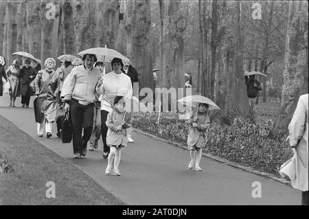 Bush en serres sur Keukenhof; personnes avec parasols marchant à travers le Keukenhof Date: 8 avril 1985 lieu: Lisse mots clés: Serres, fleurs Nom de l'établissement: Keukenhof Banque D'Images
