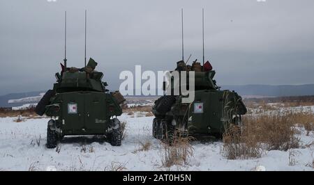 Véhicules blindés légers du 3ème Bataillon de reconnaissance blindé léger, 3ème division marine, effectuer une aire de tir en direct lors de l'exercice Northern Viper 2020 à Hokudaien Training Area, Hokkaido, Japon, 28 janvier 2020. Northern Viper est un exercice d'entraînement régulier conçu pour améliorer l'interopérabilité de l'Alliance américaine et japonaise en permettant aux forces de travail marines aériennes du III MEF de maintenir leur létalité et leur compétence dans les opérations D'armement Combiné MAGTF dans les environnements froids. (ÉTATS-UNIS Photo du corps marin par le Cpl. Cameron E. Parcs) Banque D'Images