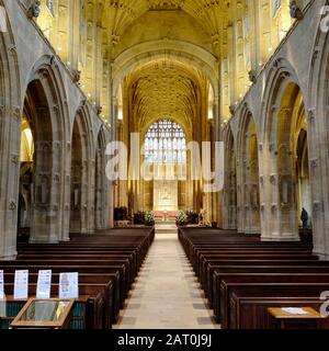 Intérieur de l'Abbaye de Sherborne de la nef Banque D'Images