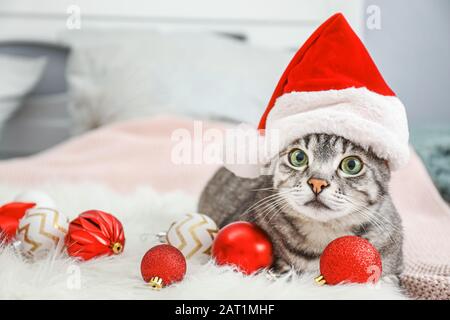 Chat mignon dans un chapeau de Santa et décor de Noël sur le lit Banque D'Images