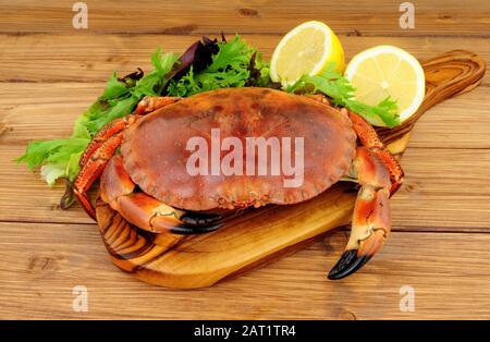 Crabe brun entier cuit sur fond de bois avec feuilles de citron et de salade Banque D'Images