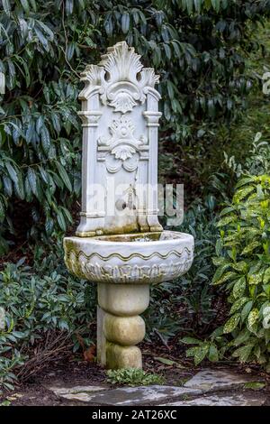 Washstand Dans Le Parc Atatürk Arboretum - Sarıyer, İstanbul - Turkiye Banque D'Images