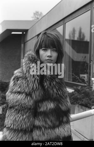 Chanteuse-actrice française Françoise Hardy à Amsterdam Date: 16 décembre 1969 lieu: Amsterdam, Noord-Holland mots clés: Chanteuses Nom personnel: Françoise Hardy Banque D'Images