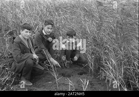 Dangereux (?) projectile dans Naarden trouvé, v.l.n.n. R. H. Horwitz, H. Tomassen et G. Bur Date : 21 novembre 1960 lieu : Naarden Nom De La Personne : G. Bur, H. Tomassen, R. H. Horwitz Banque D'Images