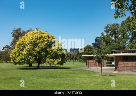 Vue Sur Le Parc Fawkner, Melbourne Banque D'Images